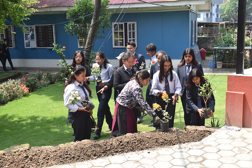 Environment Day